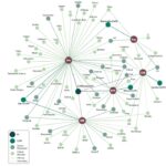 Who We Are – APPEX